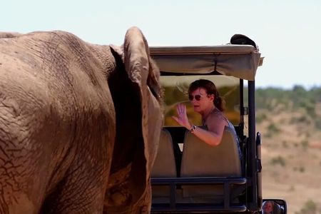Half Day Guided Safari in Addo Elephant National Park