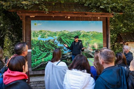From Zadar: Plitvice Lakes Guided Day Tour with Tickets