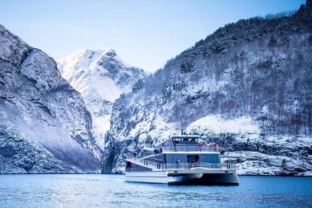 Winter Fjord Tour to Nærøyfjord, Flam and Stegastein from Bergen