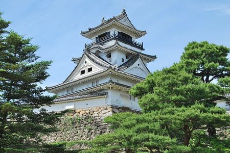 Shore Excursion Full Day Private Kochi Tour from Kochi port