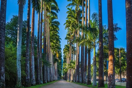 Private Rio Tour: Botanical Garden and Tijuca National Park