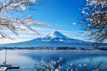 Mount Fuji Private Tour from Tokyo with English Speaking Driver
