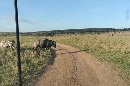 Explore Nairobi National Park with Transportation