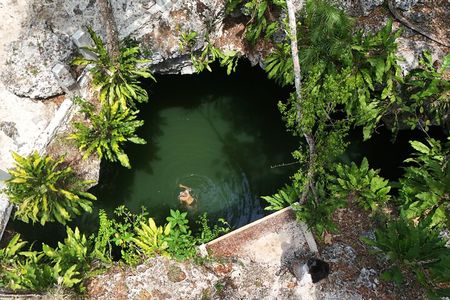 Private Jeep Cenotes Expedition in Cozumel – Swim & Mayan Park 