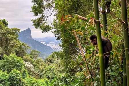 Tijuca Forest: Tour with Waterfalls and Caves