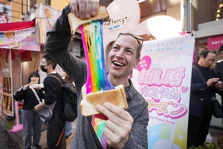 Tokyo Private Family Tour – Unique Adventure