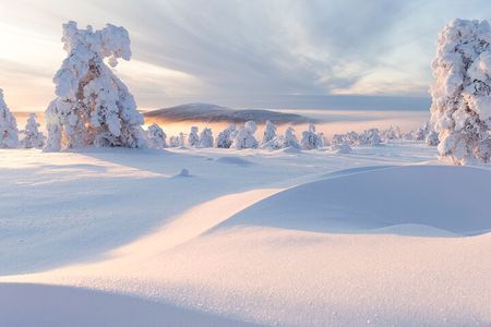 Winter Snowshoeing in the Finnish Wilderness