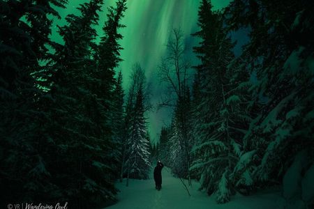 Adults Only Aurora Hunt in the Finnish Wilderness