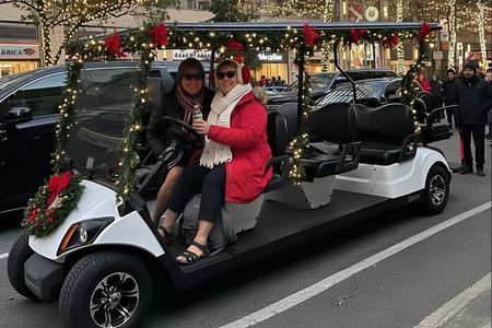 NYC: New York City & Landmarks Guided City Tour Covered Cart