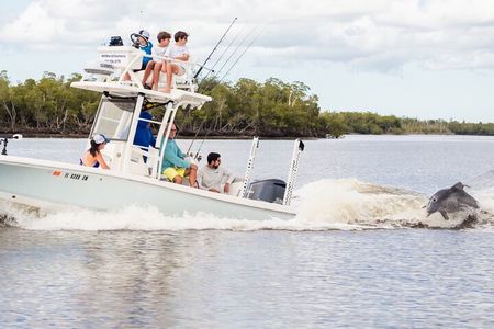 Private 2 Hour Dolphin & Eco Tour Marco Island, FL