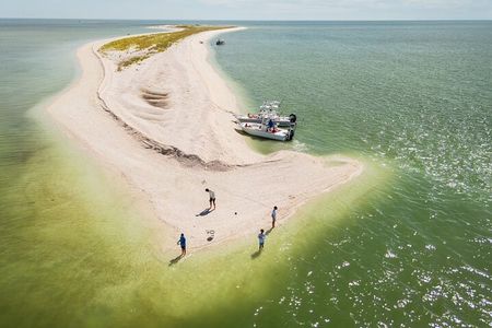 Private 4 HR Eco Tour, Shelling and Fishing, Marco Island FL