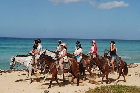 Horseback Riding on the Beaches of Punta Cana