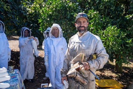 Meet the Bees Guided Apiary Tour and Honey Tasting