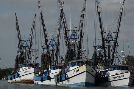 Port of Brownsville Tours
