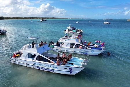 Private Cruise Party with Drinks and Snorkeling in Punta Cana