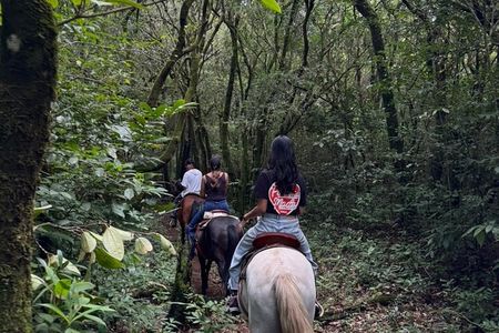 Horseback Riding Adventure in Boquete’s Cloud Forest (2 pax/min)