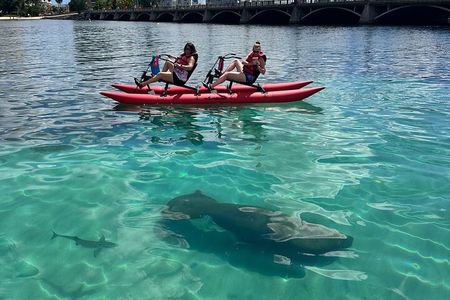 Condado Lagoon Chiliboats Waterbike Adventure in San Juan