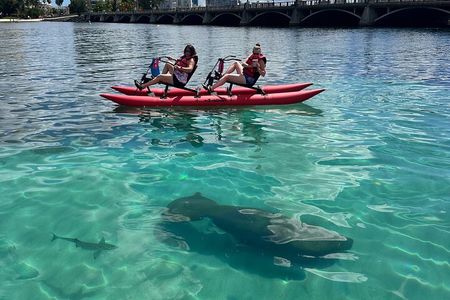 Eco-Adventure Chiliboats Waterbike in Condado Lagoon