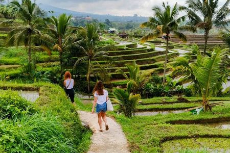 Bali Ulun Danu Beratan temple, waterfall, and Jatiluwih Heritage