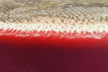 Pink Lake & Giant Salt Crystals – Great Salt Lake Adventure