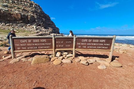 Cape Peninsula Tour