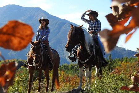 Panoramic 2-Hour Horseback Ride on Monte Gaggio (Intermediate)