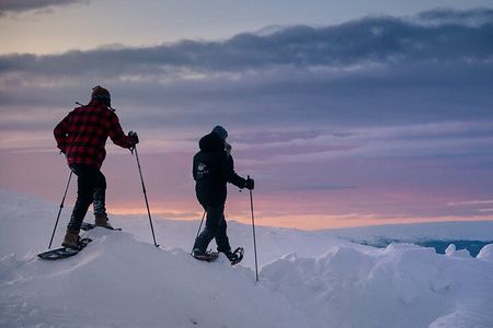 Winter Snowshoeing in the Finnish Wilderness