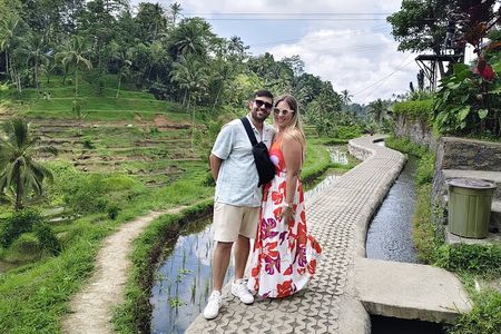 Ubud Tour Monkey Forest, Rice Terrace, Swing, Temple, Waterfall