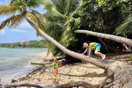 Private Jeep Excursion Explore St Thomas