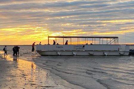Bulls Island Ferry Adventure