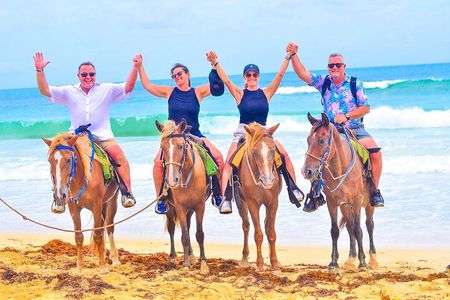 Punta Cana Horseback Riding Excursion on the Beach with Pickup