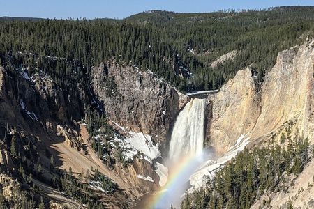 Yellowstone in a Day Private Guided Tour