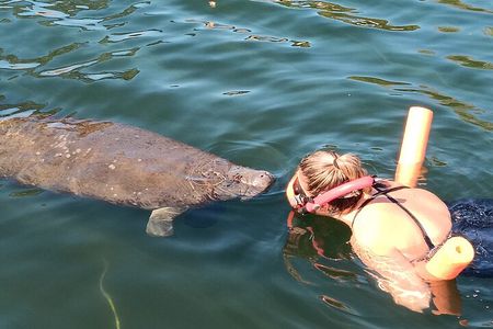 Manatee Magic Private 3 Hour Swim Heated Boat with Restroom