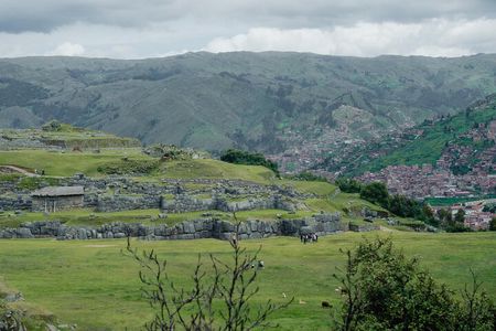 City Tour of Cusco and Encounter with Alpacas and Llamas