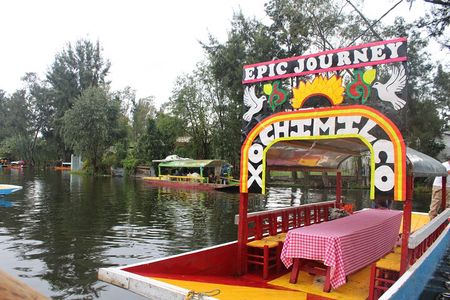 Riding Boats +Warm Mex Food+ Frida Kahlo's neighborhood (private)