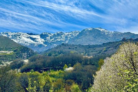 High Atlas Mountains Day Trip 