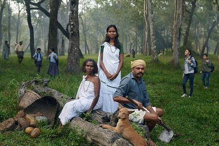 5 Days Kerala Tour with Private Car Houseboat Munnar and Thekkady