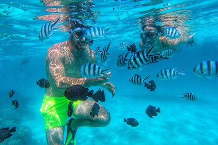 Mnemba Island Dolphin and Snorkeling Tour