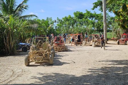 Horses, Buggy, and plantation in Chocaci Ranch