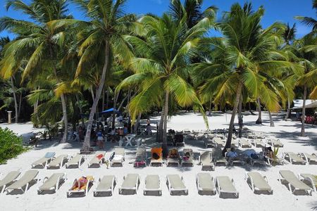 Saona Island: Full-day Catamaran Tour - Small Group
