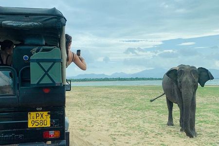Udawalawe National Park Day trip 