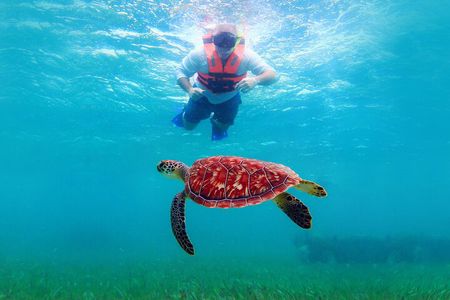 Coral Reef Snorkeling Expedition from Cancun with Beachside Lunch