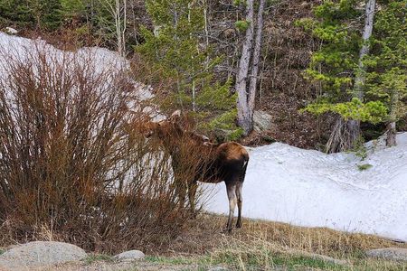 Winter on the Rocks with S'mores (Wildside 4x4 Tours)