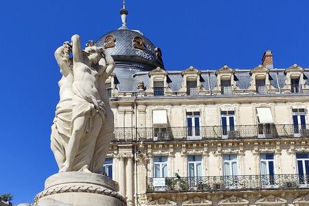 Montpellier: Tour of the historic center, local delicacies & wines