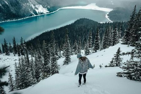 Banff: Lake Louise, Marble Canyon, Bow Lake, Peyto Lake Tour