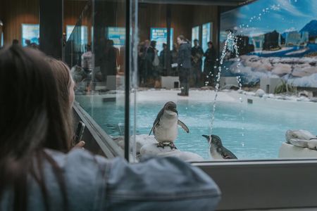 Skip the Line: Franz Josef Wildlife Center Ticket with Optional Backstage Pass