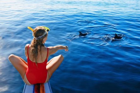 Private Speedboat Dolphin House Snorkeling & Water Sport–Hurghada