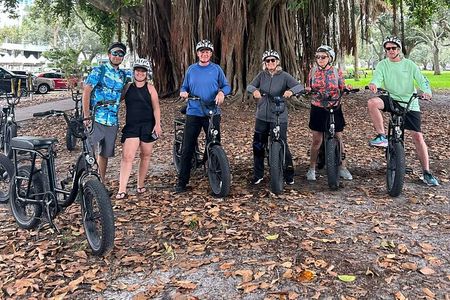 E-Bike Guided Tour Downtown St Pete: Sights & Murals