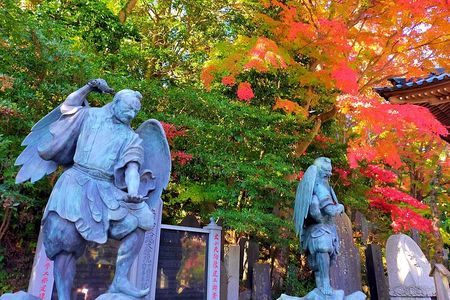 Full Day Hiking Tour at Mt.Takao including Hot Spring