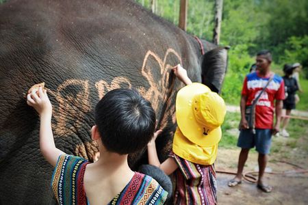 Phuket Ethical Elephant Care Sanctuary Nai Dee Half-Day or 2-Hour